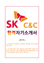 2013 SK C&C 합격 자기소개서 [경영전략/기획, 사업개발, 해외사업, 마케팅/영업, 생산/기술, 연구개발, 정보기술, 재무/회계, 인력관리, 홍보/광고, 법무, 기타 일반지원]