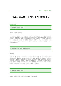 [태양금속공업자기소개서]태양금속공업자소서,태양금속공업합격자기소개서,태양금속공업최신공채자기소개서(태양금속공업합격자소서) -태양금속공업채용자기소개서(태양금속공업입사지원서)