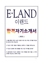 2013 E-LAND(이랜드) 시스템즈 합격 자기소개서 [project management, Businiss Application Expert, Infrastructure System Engineer, Consult..