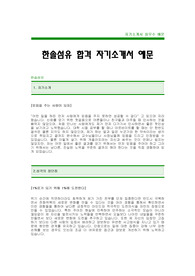 [한솔섬유자기소개서]한솔섬유자소서,한솔섬유최신공채자기소개서_한솔섬유합격자기소개서_한솔섬유합격자소서_한솔섬유채용자기소개서자소서_한솔섬유입사지원서