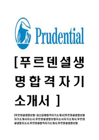 [푸르덴셜생명보험-최신공채합격자기소개서]푸르덴셜생명보험자기소개서자소서,푸르덴셜생명보험자소서자기소개서,푸르덴셜생명자소서,푸르덴셜합격자기소개서,푸르덴셜생명보험