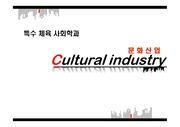 특수체육사회학과 문화산업 PPT