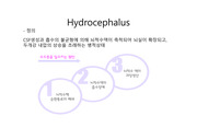 Hydrocephalus(수두증)