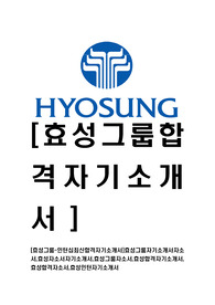 [효성그룹-인턴십최신합격자기소개서]효성그룹자기소개서자소서,효성자소서자기소개서,효성그룹자소서,효성합격자기소개서,효성합격자소서,효성인턴자기소개서