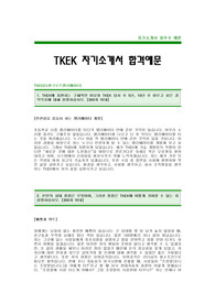 [티센크루프엘리베이터 자기소개서] 티센크루프엘리베이터코리아 합격 자기소개서 -TKEK자기소개서예문(TKEK합격자소서) -티센크루프엘리베이터신입입사지원서