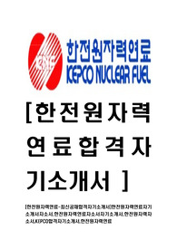 [한전원자력연료-최신공채합격자기소개서]한전원자력연료자기소개서자소서,한전원자력연료자소서자기소개서,한전원자력자소서,KEPCO합격자기소개서,한전원자력연료