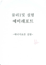 물리 실험 에너지보존 실험 [예비]