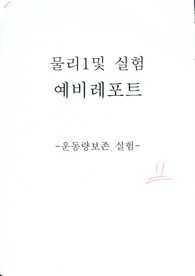 물리 실험 운동량보존 실험 [예비]