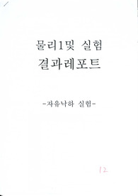 물리 실험 자유낙하 실험 [결과]