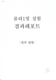 물리 실험 힘의 평형 [결과]