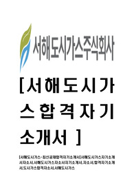 [서해도시가스-최신공채합격자기소개서]서해도시가스자기소개서자소서,서해도시가스자소서자기소개서,자소서,합격자기소개서,도시가스합격자소서,서해도시가스