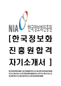[한국정보화진흥원-2014년최신공채합격자기소개서]한국정보화진흥원자기소개서자소서,한국정보화진흥원자소서자기소개서,자소서,아산합격자기소개서,합격자소서,한국정보화진흥원