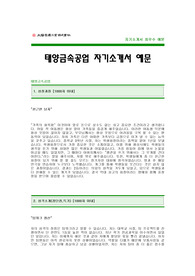 태양금속공업 자기소개서 태양금속공업 합격 자소서 샘플 태양금속공업 합격 자기소개서 예문 자동차부품회사 태양금속공업 입사지원서