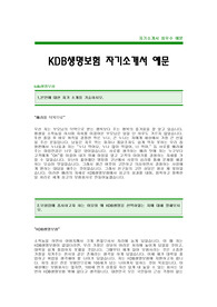 [KDB생명보험자기소개서] KDB생명보험 자기소개서 예문 -KDB생명 합격 자기소개서(KDB생명합격자소서) -보험회사 신입 자기소개서(KDB생명 공채 입사지원서)