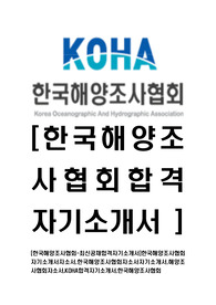 [한국해양조사협회-최신공채합격자기소개서]한국해양조사협회자기소개서자소서,한국해양조사협회자소서자기소개서,해양조사협회자소서,KOHA합격자기소개서,한국해양조사협회