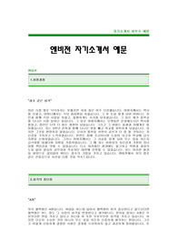 [앤비젼자기소개서] 앤비젼 자기소개서 예문 -앤비젼합격자기소개서(앤비전합격자소서) -앤비젼 공채 입사지원서(앤비젼신입자기소개서)