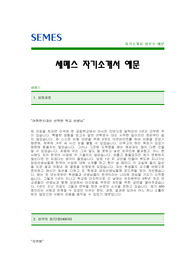 [세메스자기소개서] 세메스 자기소개서 예문 -세메스합격자기소개서(세메스합격자소서) -SEMES 공채 입사지원서(세메스 신입 자기소개서 샘플)