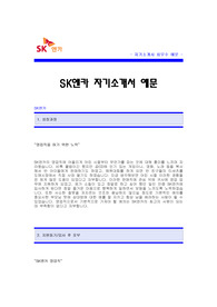 SK엔카 영업직 자기소개서 [SK엔카 합격 자기소개서 예문] SK엔카 자소서 [SK엔카 영업 합격 자소서 샘플] SK엔카 입사지원서 [SK엔카 신입 영업직자기소개서]