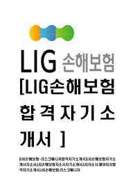 [LIG손해보험-리스크매니져합격자기소개서]LIG손해보험자기소개서자소서,LIG손해보험자소서자기소개서,LIG자소서,엘아이지합격자기소개서,LIG손해보험,리스크매니저