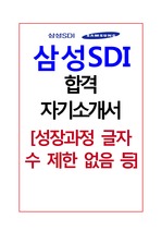 2013 삼성SDI 합격 자기소개서 (자소서)
