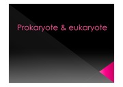 Prokaryote and Eukaryote