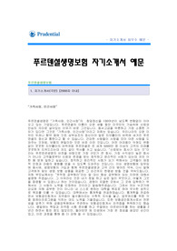 푸르덴셜생명보험 자기소개서 [푸르덴셜 합격 자기소개서 예문] 푸르덴셜생명보험 자소서 [푸르덴셜생명보험 시스템개발 합격 자소서 샘플] 푸르덴셜 시스템개발팀 공채 입사지원서 [푸르덴셜생명 신입 자기소개서]