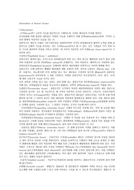 일반생물학 및 실험 동물세포 관찰 예비레포트
