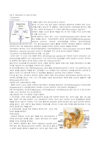 일반생물학및 실험 레포트 - 쥐의 난소 및 정소 관찰