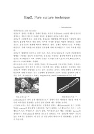 미생물학 실험 레포트 pure culture technique