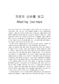 자연의 신비 amazing journeys 다큐멘터리를 보고