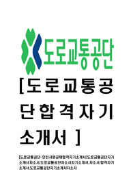   [도로교통공단-인턴사원공채합격자기소개서]도로교통공단자기소개서자소서,도로교통공단자소서자기소개서,자소서,합격자기소개서,도로교통공단자기소개서자소서