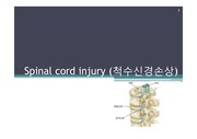 spinal cord injury  파워포인트