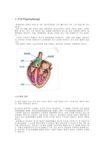 부정맥 의 종류와  치료