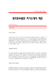 한국중부발전 자기소개서