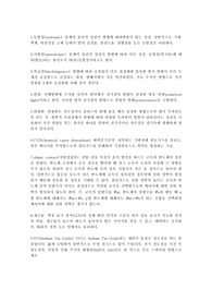 LCD와 관련된 용어 정리