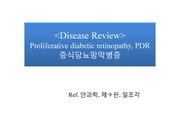 PDR(증식당뇨망막병증)