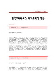 [한국후지제록스자기소개서] 한국후지제록스 합격 자기소개서 예문 한국후지제록스 설계 합격 자소서 샘플 한국후지제록스 설계분야 공채 입사지원서 한국후지제록스 신입 자소서 양식(후지제록스 자기소개서)