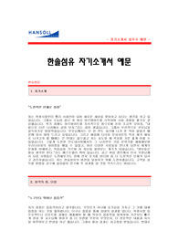 한솔섬유 자기소개서[한솔섬유 합격 자기소개서 예문] 한솔섬유 자소서[한솔섬유 합격 자소서 샘플] 한솔섬유 해외법인 근무사원 공채 입사지원서[한솔섬유자소서양식]