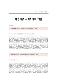 대한제강 자기소개서[대한제강 전기설계관리직 합격 자기소개서 예문] 대한제강 자소서[대한제강 전기설계관리 합격 자소서 샘플] 대한제강 공채 입사지원서[대한제강 자기소개서 양식]
