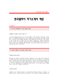 [한국델파이자기소개서] 한국델파이 합격자 자기소개서 예문_한국델파이 해외영업(러시아어전공) 합격 자소서 샘플_한국델파이 영업직 대졸공채 입사지원서