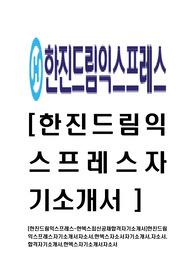 [한진드림익스프레스-한덱스최신공채합격자기소개서]한진드림익스프레스자기소개서자소서,한덱스자소서자기소개서,자소서,합격자기소개서,한덱스자기소개서자소서