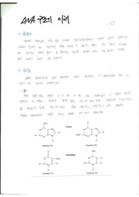 아주대 생명과학실험 DNA 구조의 이해, DNA의 추출