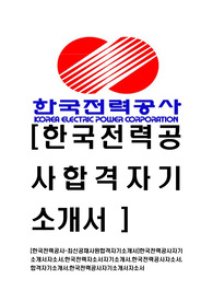 [한국전력공사-최신공채합격자기소개서]한국전력공사자기소개서자소서,한국전력자소서자기소개서,한국전력공사자소서,합격자기소개서,한국전력공사자기소개서자소서