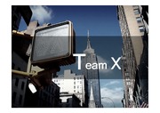 Team-X