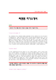 [씨앤엠자기소개서] 씨앤엠 합격자 자기소개서 예문,씨앤엠합격자소서샘플,C&amp;M 마케팅분야 공채입사지원서,씨앤엠 자기소개서 합격족보,씨엔앰자소서양식