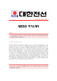 [대한전선자기소개서]대한전선 합격자 자기소개서예문,대한전선합격자소서샘플,대한전선 재무회계팀 공채입사지원서,대한전선(재무회계) 자소서양식,대한전선자기소개서견본