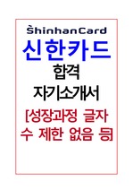 2013 신한카드  합격 자기소개서 (자소서)