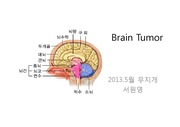 brain tumor PPT자료