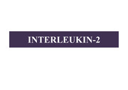 INTERLEUKIN-2 (영문PPT)