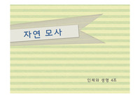 자연모사